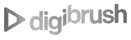 Digibrush